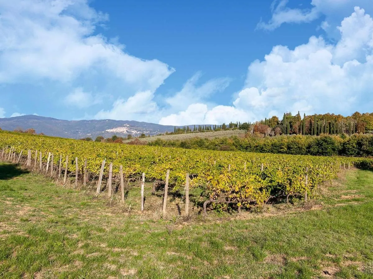 Belvilla By Oyo Quercia Cortona Holiday home